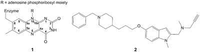 Evidence for a Cyanine Link Between Propargylamine Drugs and Monoamine Oxidase Clarifies the Inactivation Mechanism